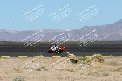 media/May-12-2024-SoCal Trackdays (Sun) [[ad755dc1f9]]/6-Bowl (845am)/